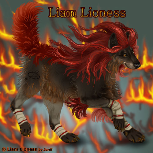vlk: Liam Lioness